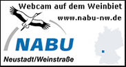 Nabu Webcam Weinbiet