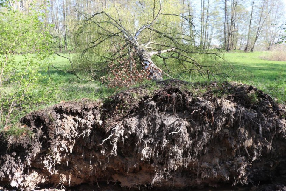 18.04.2022 Ostermontag-Wanderung