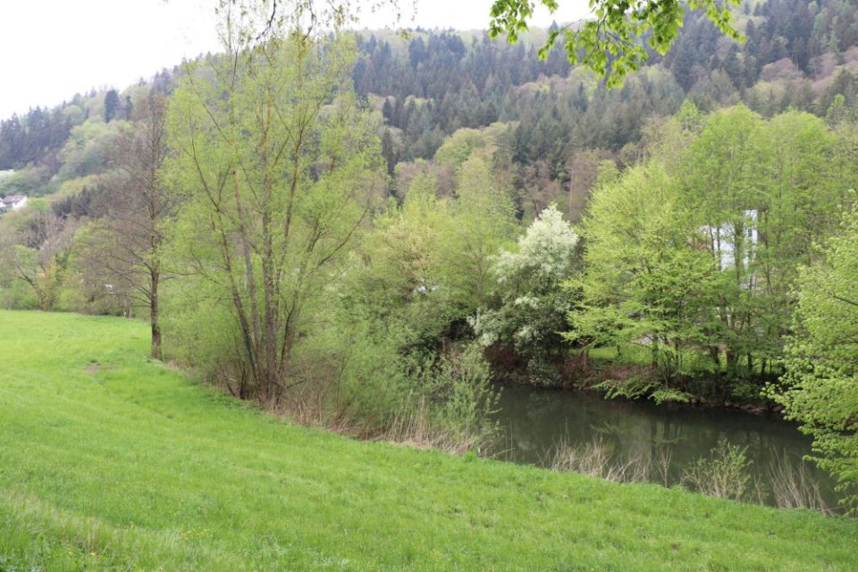 01.05.2022 Calw Nagold