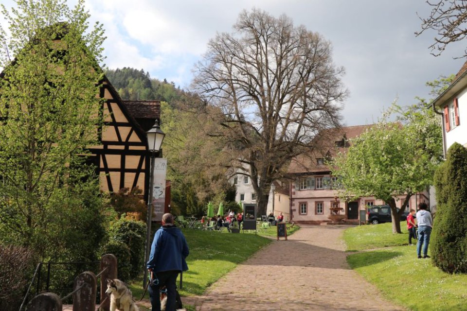 01.05.2022 Calw Nagold